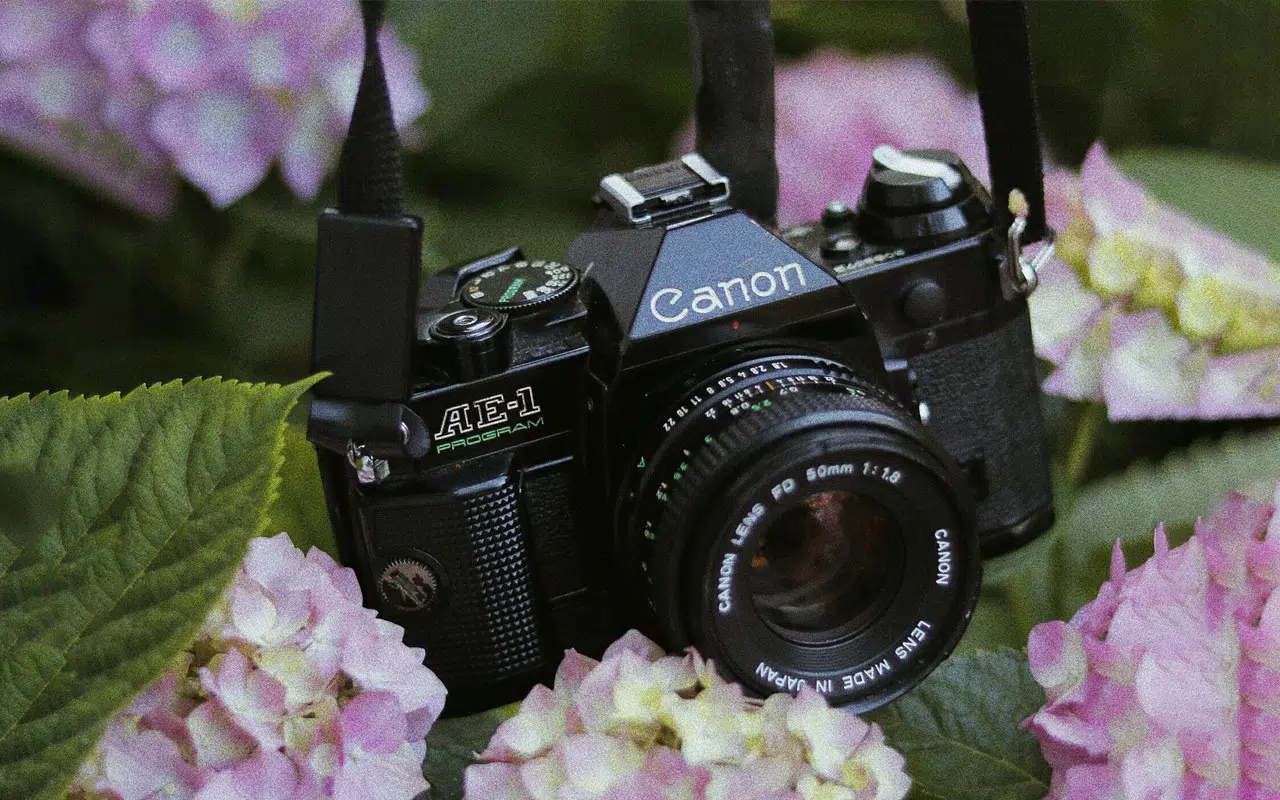 canon ae1