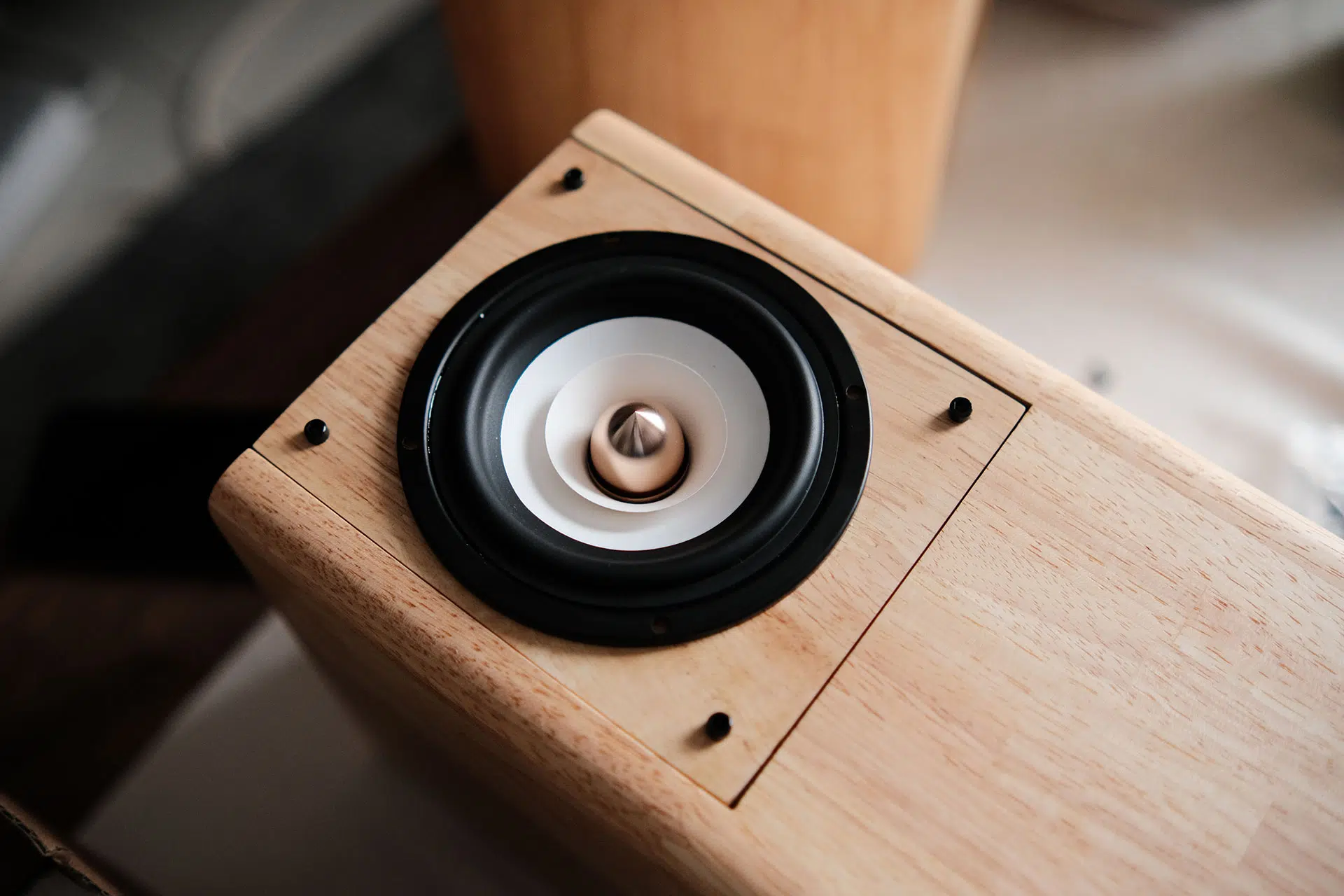 DIY Chi-Fi Speakers Project Budget Friendly