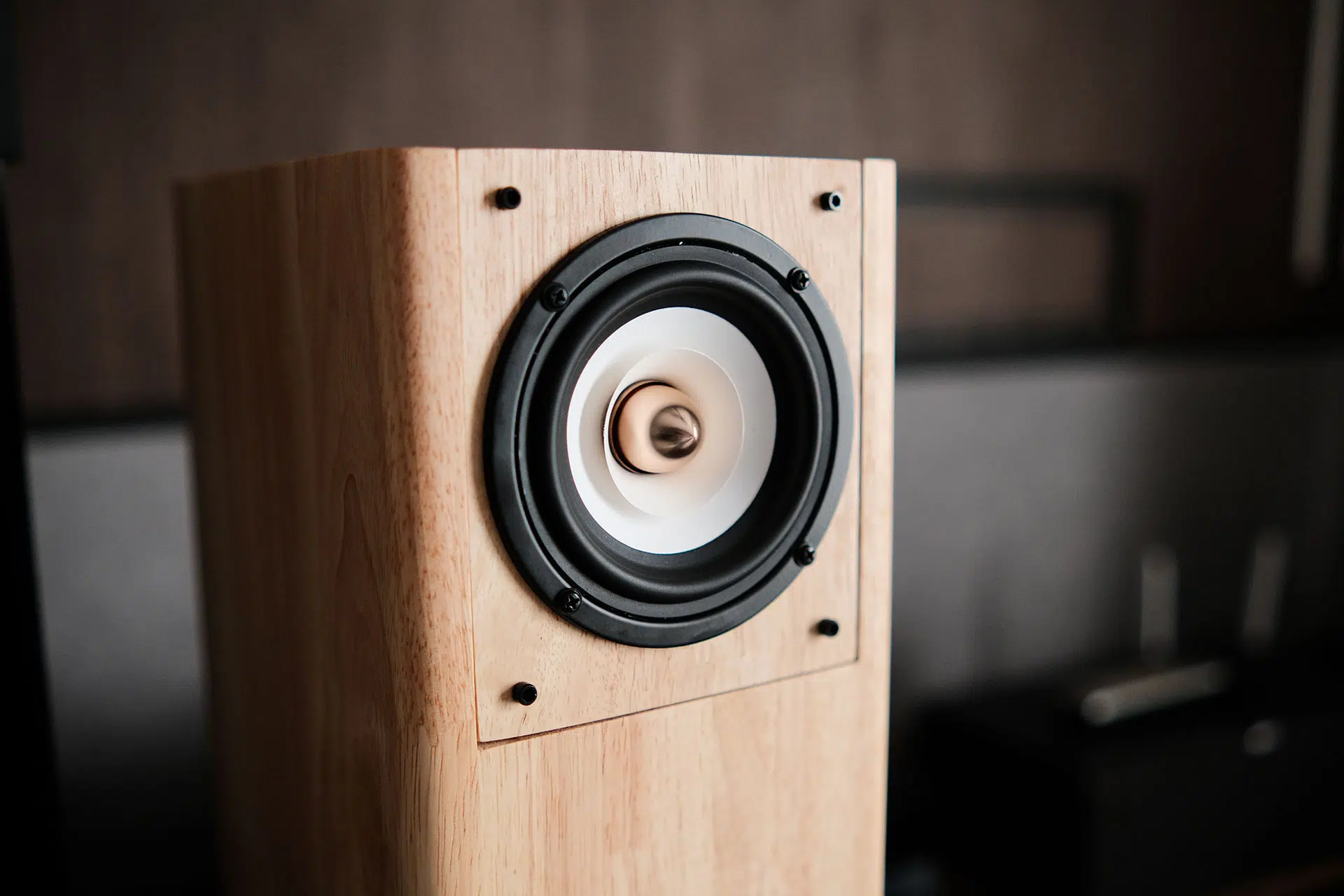 DIY Iwistao Full Range Bookshelf Speaker Project